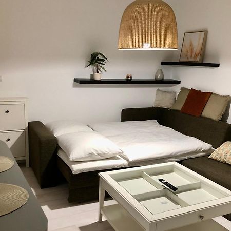 Apartman V Centre Ziliny S Parkovanim 질리나 외부 사진